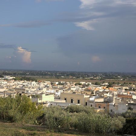 Villa Nice Dream With Pool And Terrace - Happy Rentals Невьяно Экстерьер фото